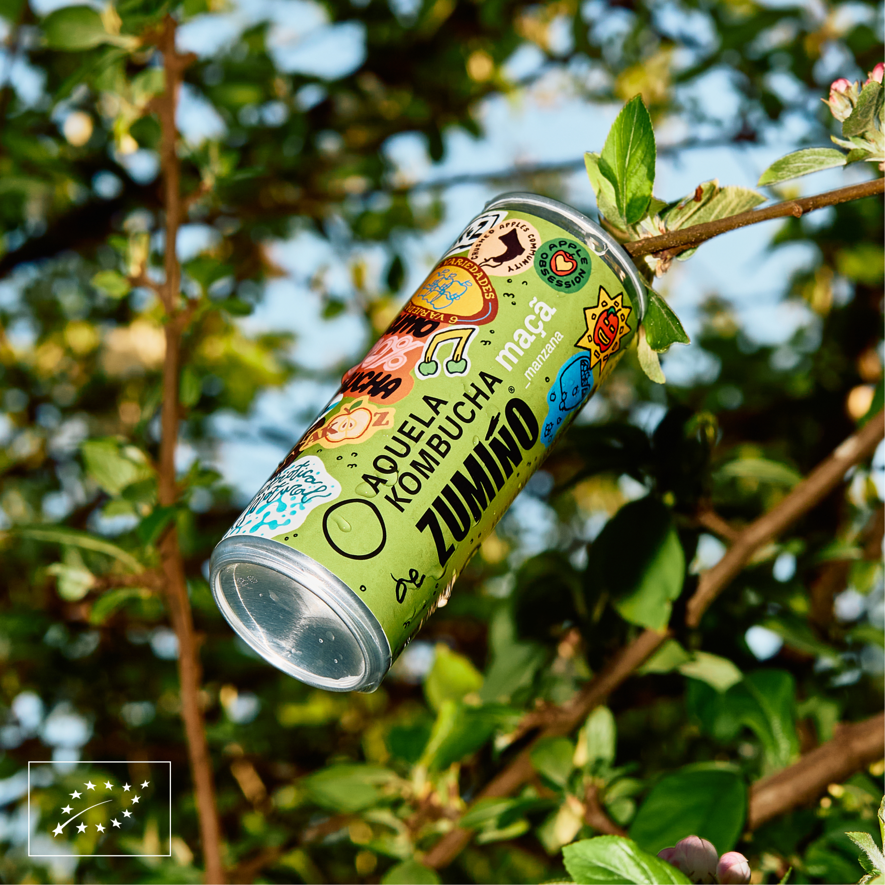 The Sip Order Aquela Kombucha lifestyle photography